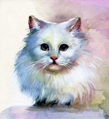 Fototapeta na wymiar Watercolor Animal Collection: White Cat