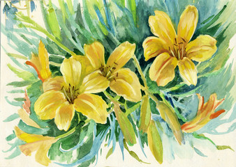 Fototapeta na wymiar Yellow lilies