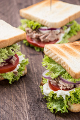 Some Tuna Sandwiches