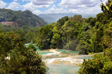 Gordijnen blue river in forest © nataiki