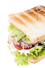Fresh Tuna Sandwich on white