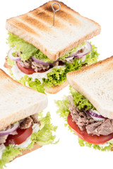 Group of Tuna Sandwiches on white