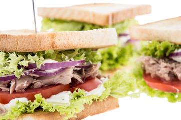 Tuna Sandwich isolated on white