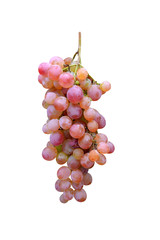 grape fruits isolated on white background