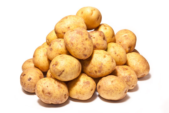 White Potatoes isolated on a white studio background.