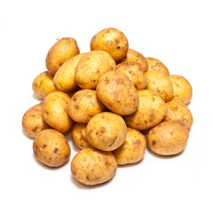 White Potatoes isolated on a white studio background.
