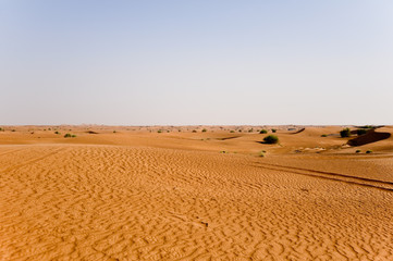 Fototapeta na wymiar Na obrzeżach pustyni Dubaju.