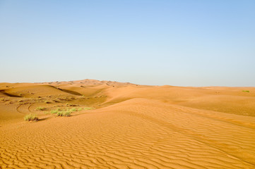 Fototapeta na wymiar Widok na krajobraz pustyni.