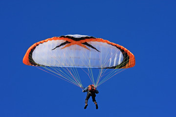 paraglider
