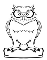 owl