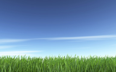 Fototapeta na wymiar Blue sky and green grass