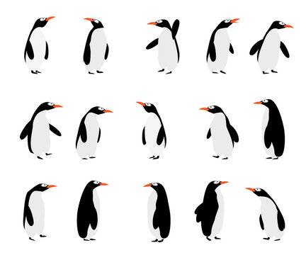 Penguins background
