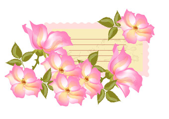 Abstract background with banner and wild rose