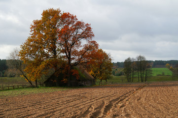 Old barn © madredus
