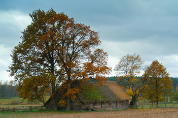 Old barn © madredus