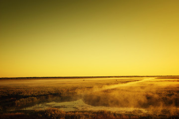 Fototapeta premium Mystic landscape