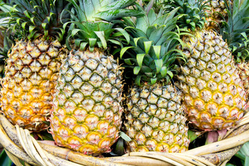 Tropical pineapples