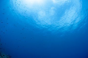 海底から見た空
