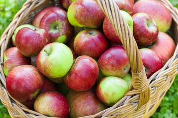 Fresh apples