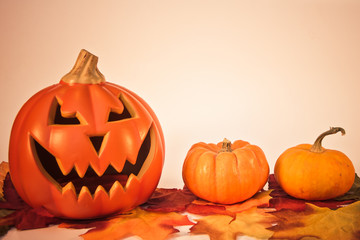 Pumpkin on Fall Leaves