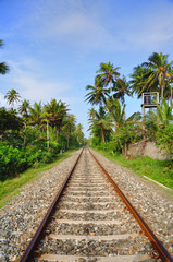 Fototapeta na wymiar Tory kolejowe na tropikalnej Sri Lanki.