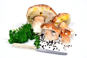 Pilze Steinpilz Messer und Kräuter