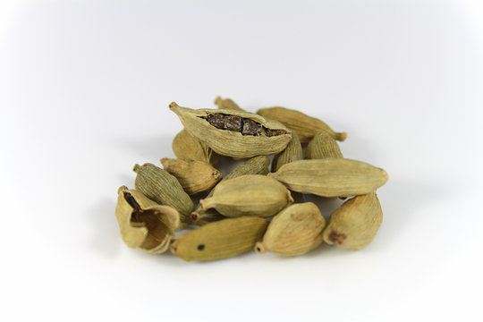 kardamon