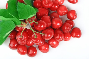 Branch with cherries