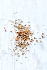 Coriander seeds and dried rosemary on wooden background