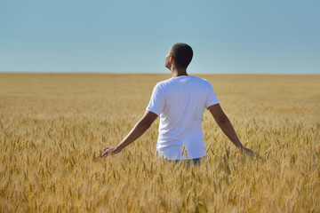 Naklejka na ściany i meble man in wheat field