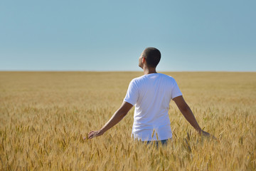 man in wheat field