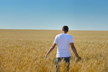 man in wheat field