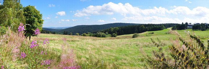 Fototapeta na wymiar Panoramafoto Thüringer Wald
