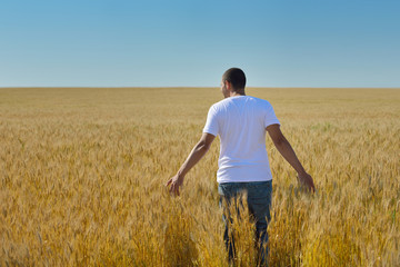 Naklejka na ściany i meble man in wheat field