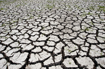 Cracked soil ground 