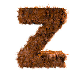 the z