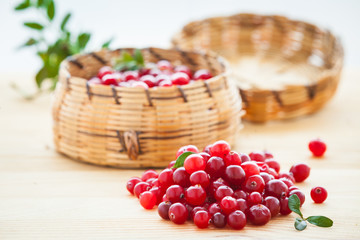 Fresh red cranberries