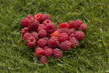 Heart of raspberries on the grass