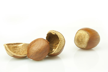 hazelnuts