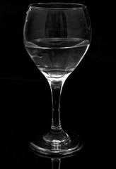 Wine Glass