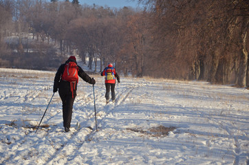 Ski runner in nature in the early morning
