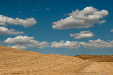 Obraz premium typical tuscan landscape