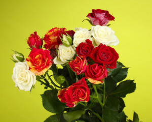 Bouquet of beautiful roses on green background close-up