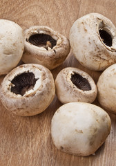 Fresh mushrooms