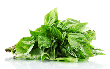 Green fresh basil, isolated on white.