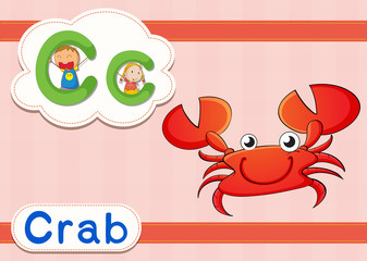 Fototapeta premium Vocabularly worksheet