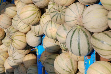 Marché de Fréjus: melons