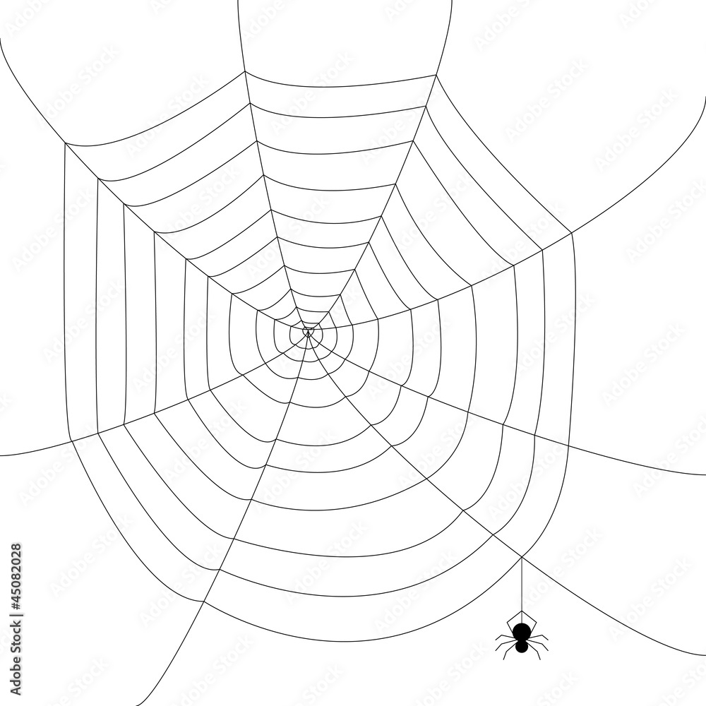 Wall mural spider web