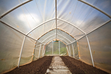 Empty small vegetable greenhouse interior