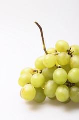 Italian grapes